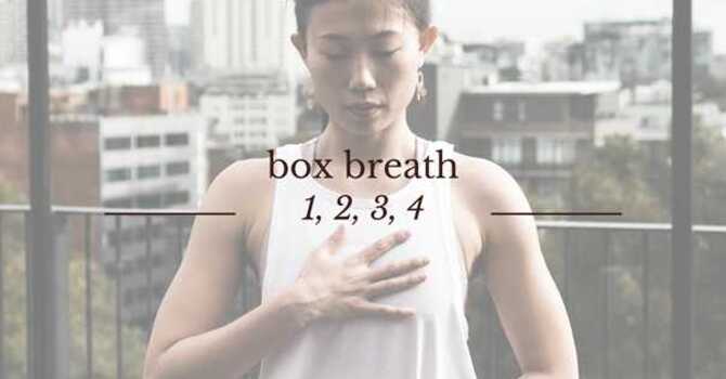 On the Brink of Overwhelm? 4 Actions You Can Take Right Now. image