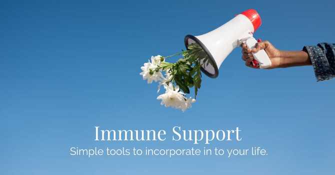 Immune Support image