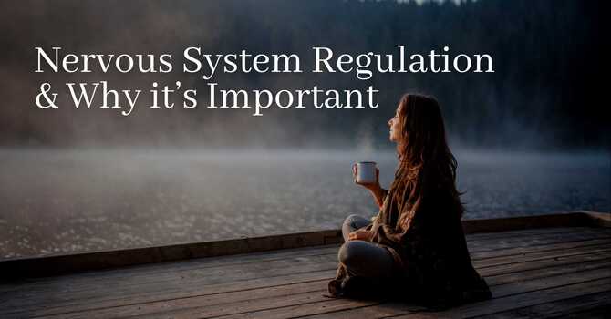 Our nervous system image